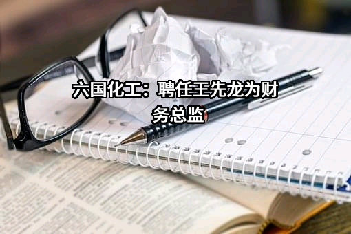 安徽六国化工股份有限公司