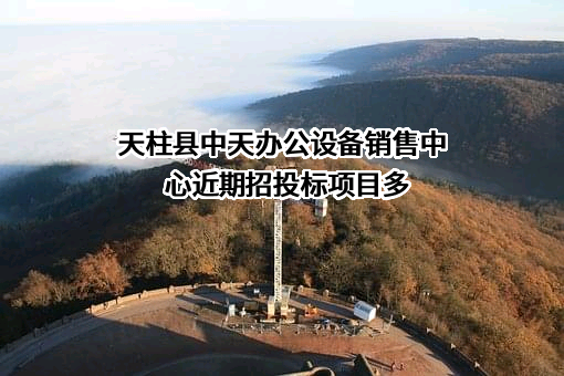 天柱县中天办公设备销售中心近期招投标项目多