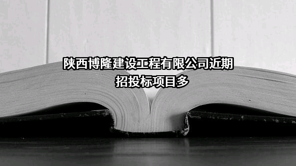 陕西博隆建设工程有限公司近期招投标项目多