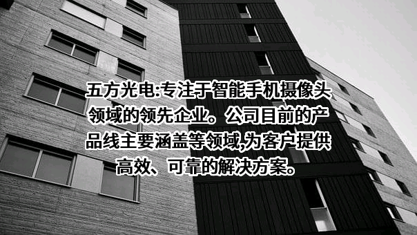 湖北五方光电股份有限公司