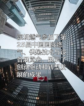 深圳市深燃创新投资有限公司