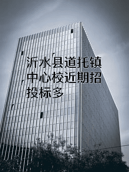 沂水县道托镇中心校