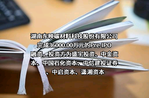 湖南东映碳材料科技股份有限公司