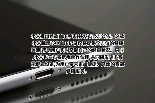 小米科技有限责任公司