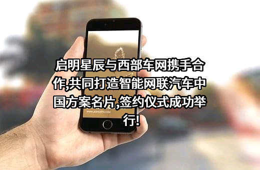 西部车网（重庆）有限公司