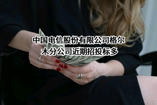 中国电信股份有限公司格尔木分公司
