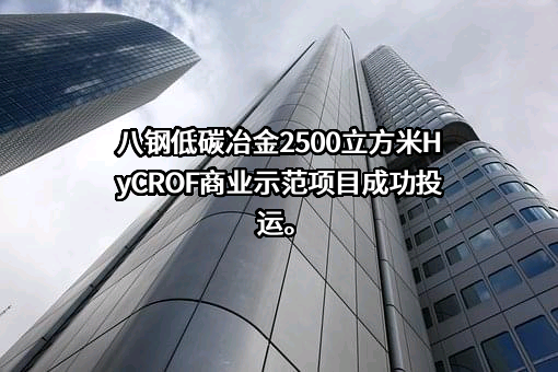 宝钢集团新疆八一钢铁有限公司