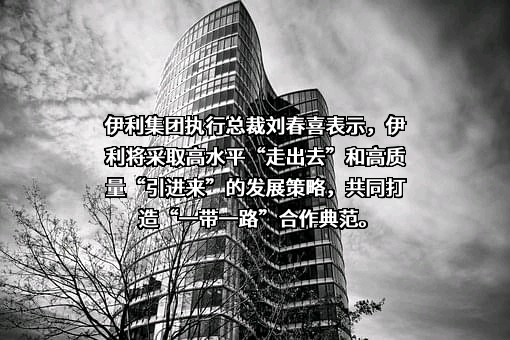 大连伊利诺集团有限公司