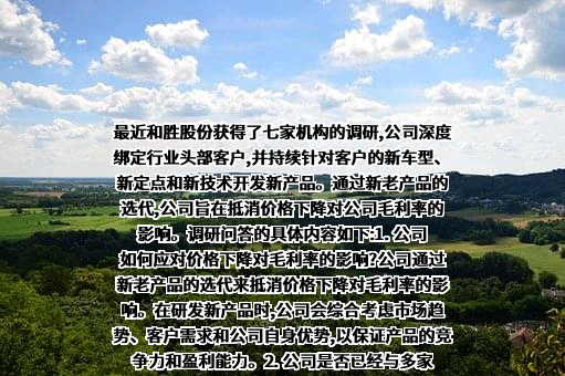 广东和胜工业铝材股份有限公司