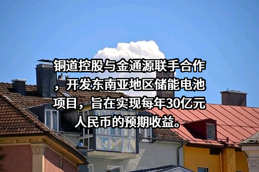 铜道控股