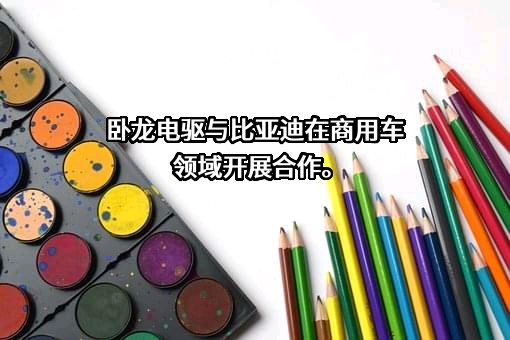 卧龙电气驱动集团股份有限公司