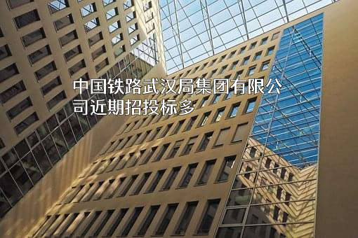 中国铁路武汉局集团有限公司