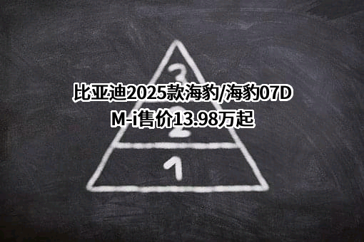 比亚迪股份有限公司