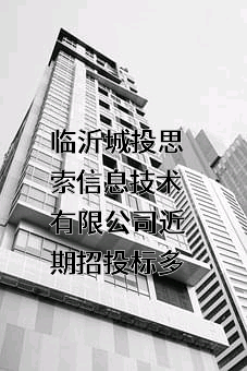 临沂城投思索信息技术有限公司