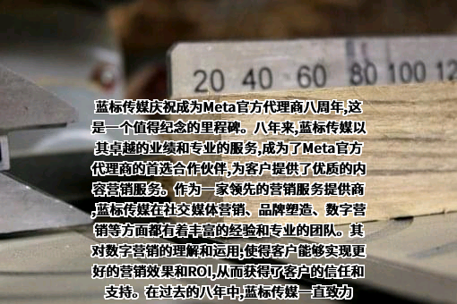 北京蓝色光标数字传媒科技有限公司