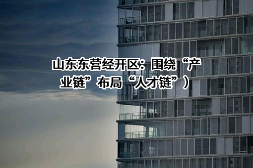 山东国瓷功能材料股份有限公司
