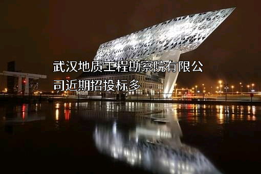 武汉地质工程勘察院有限公司