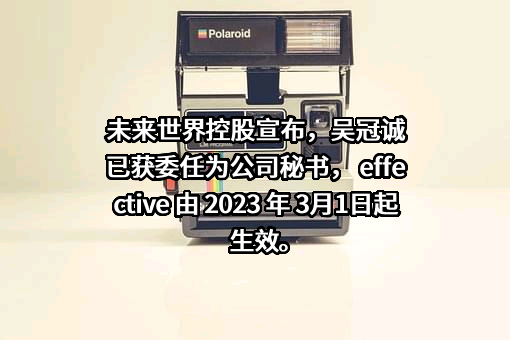 未来世界控股有限公司