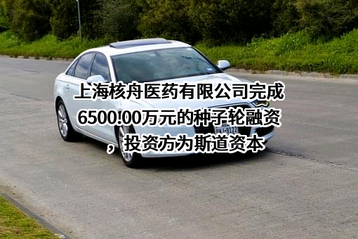 上海核舟医药有限公司