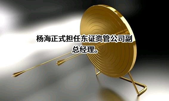 上海东方证券资产管理有限公司
