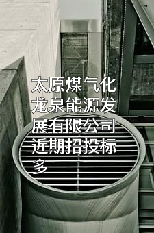 太原煤气化龙泉能源发展有限公司