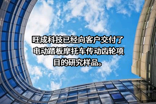 重庆市旺成科技股份有限公司