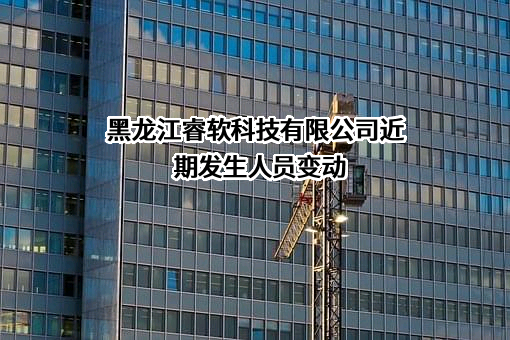 黑龙江睿软科技有限公司