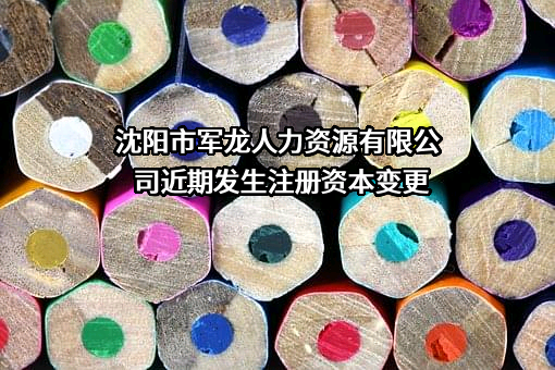 沈阳市军龙人力资源有限公司