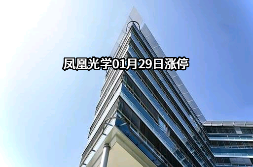 江西凤凰光学科技有限公司