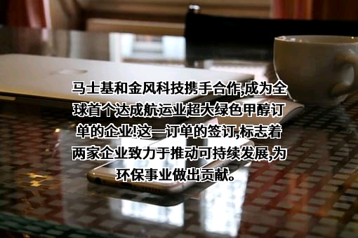 中集安瑞科控股有限公司