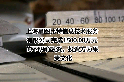 上海星图比特信息技术服务有限公司