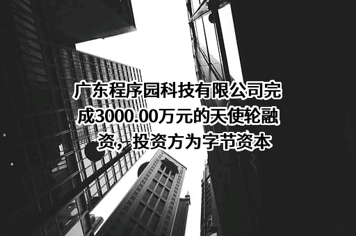 广东程序园科技有限公司完成3000.00万元的天使轮融资，投资方为字节资本