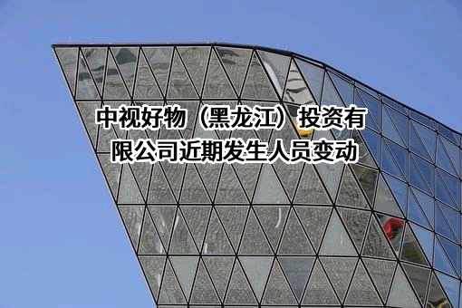 中视好物（黑龙江）投资有限公司