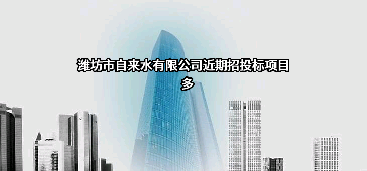 潍坊市自来水有限公司