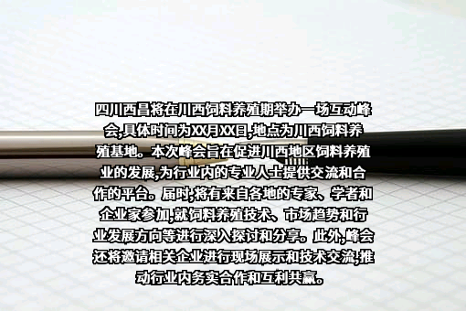 中粮期货有限公司