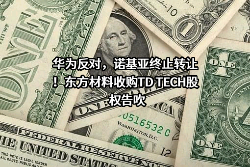 新东方新材料股份有限公司