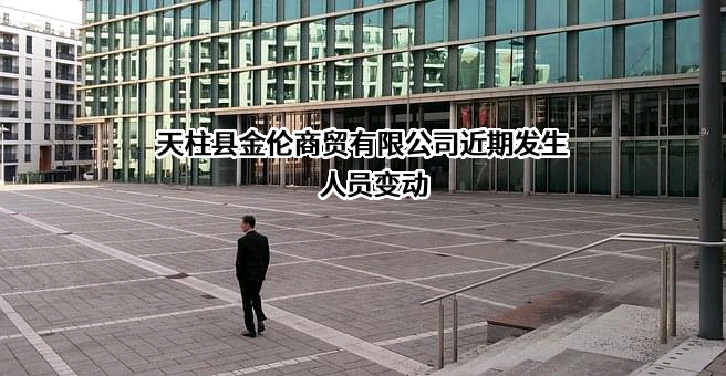 天柱县金伦商贸有限公司