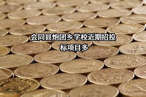 会同县炮团乡学校近期招投标项目多