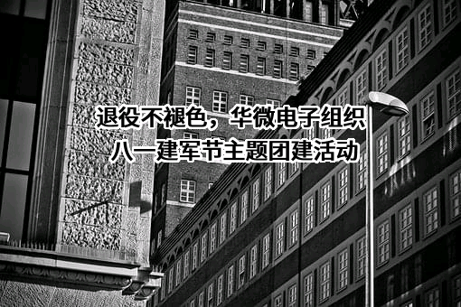 退役不褪色，华微电子组织八一建军节主题团建活动