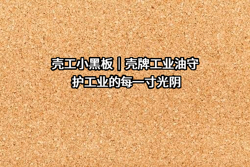 壳牌（中国）有限公司
