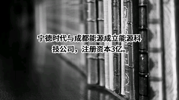 宁德时代新能源科技股份有限公司