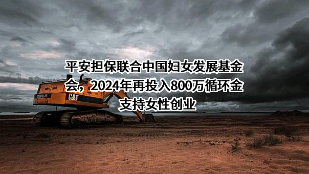 中国妇女发展基金会