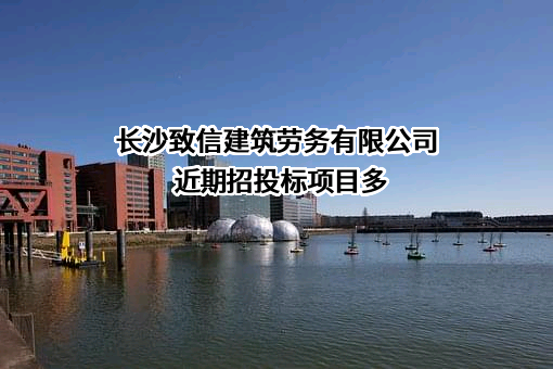 长沙致信建筑劳务有限公司