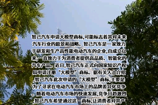 智己汽车科技有限公司