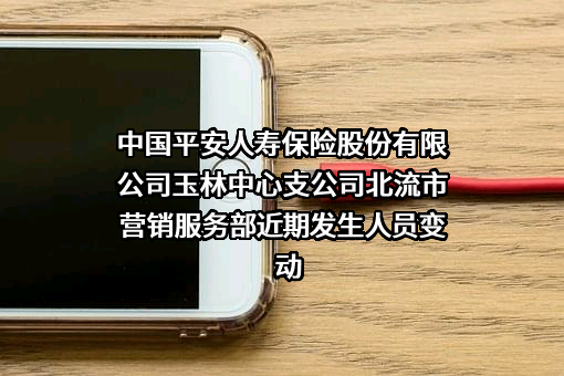中国平安人寿保险股份有限公司玉林中心支公司北流市营销服务部