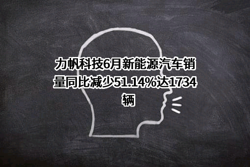 力帆科技（集团）股份有限公司