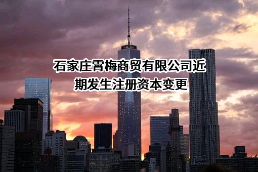 石家庄霄梅商贸有限公司