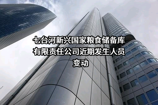 七台河新兴国家粮食储备库有限责任公司