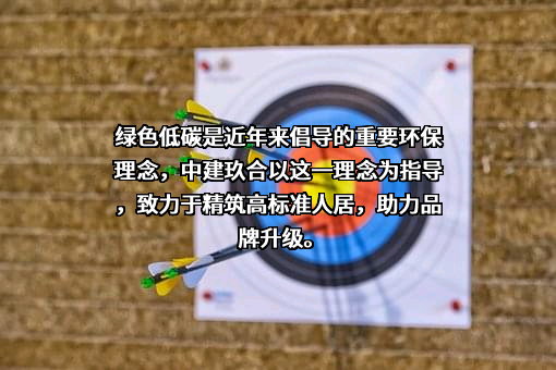 中建玖合发展集团有限公司