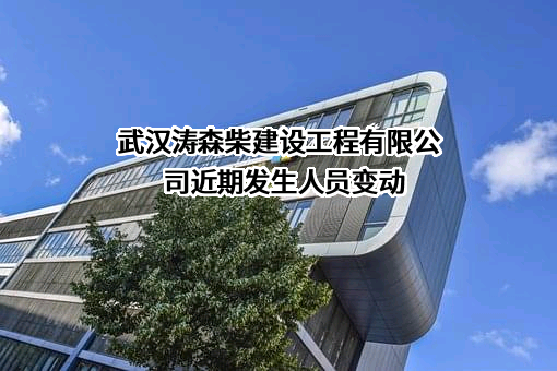 武汉涛森柴建设工程有限公司